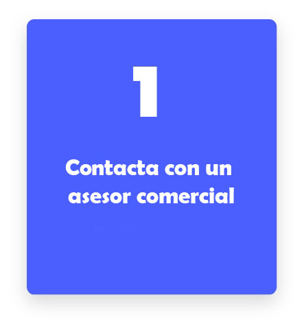 Grupo-561-card